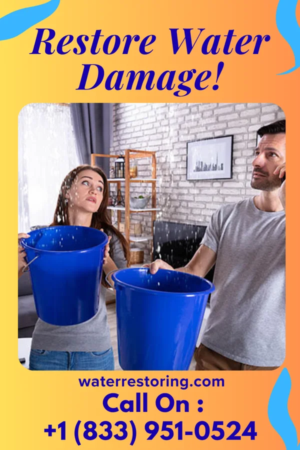 water restoration Imperial Water Damage Services Benavides
