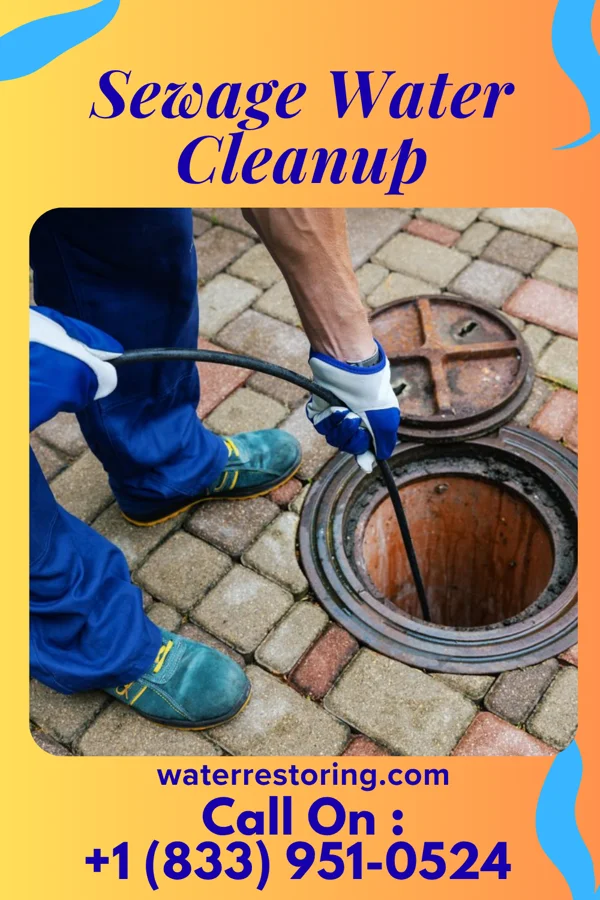 Sewage Water Cleanup in Benavides, TX